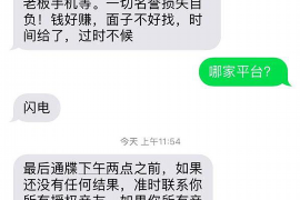 红河债务清欠服务